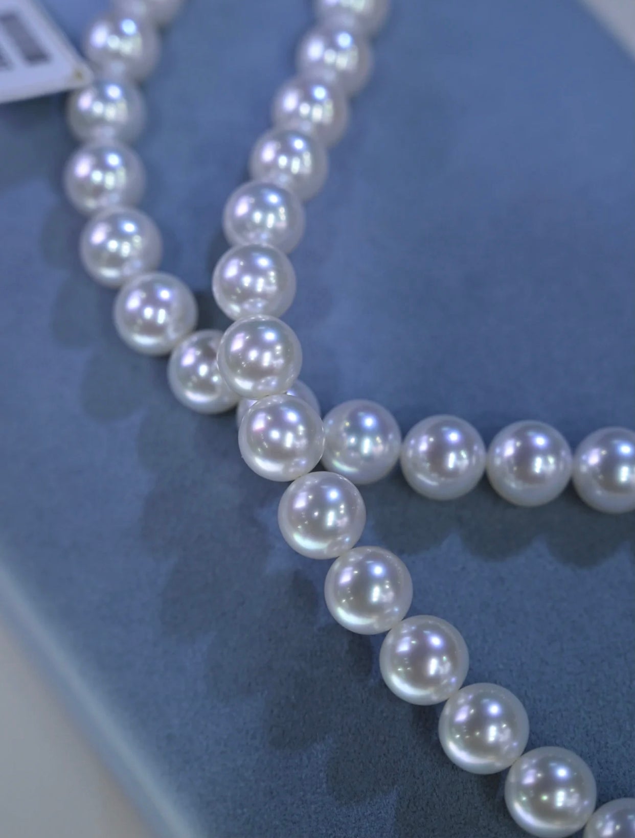 Madilyn Pearl Necklace