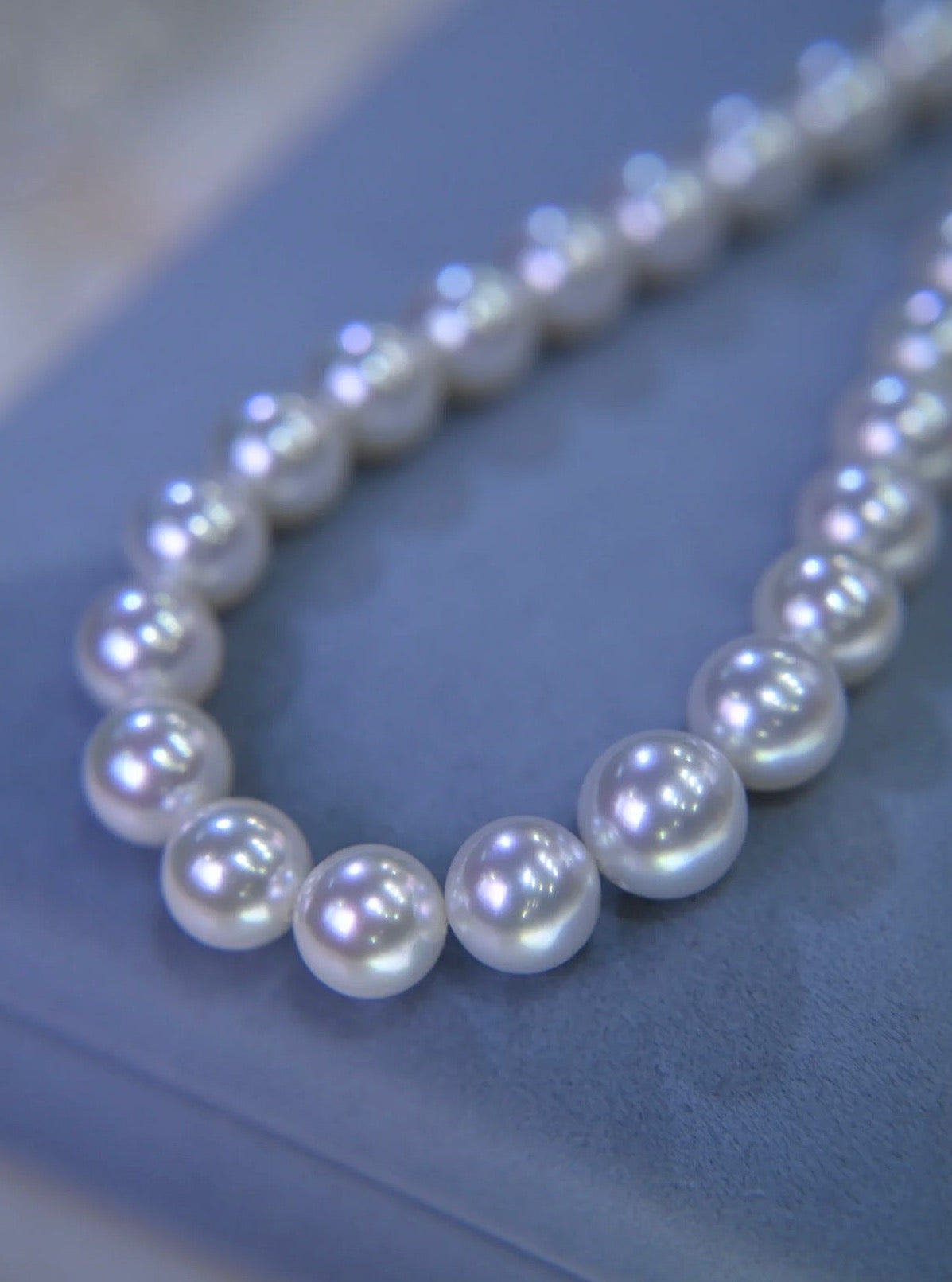 Madilyn Pearl Necklace
